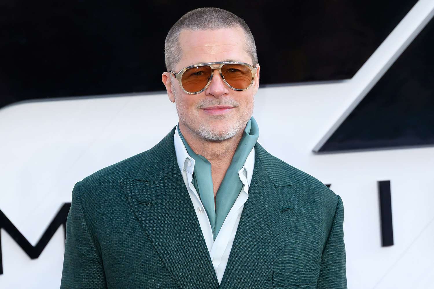 Brad Pitt reveals these 2 costars left him starstruck: ‘I received over it rapidly, although’