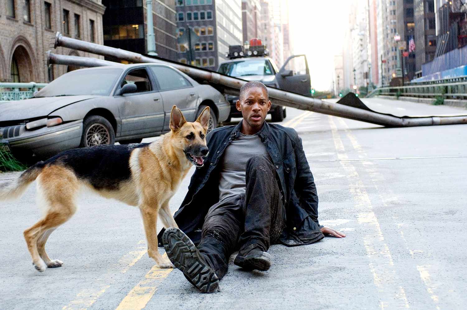 “I Am Legend” author remembers individuals strolling out of theaters in droves throughout canine dying scene