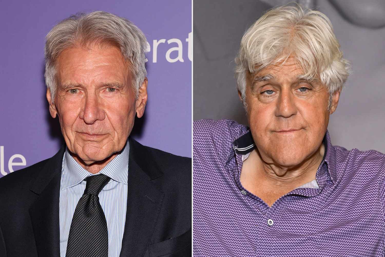Harrison Ford is getting Jay Leno to 3D-print him a bathroom seat: ‘He embraced the mission’