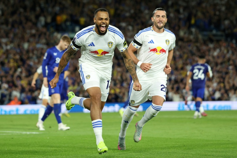 Leeds beat Everton for good begin to Premier League return