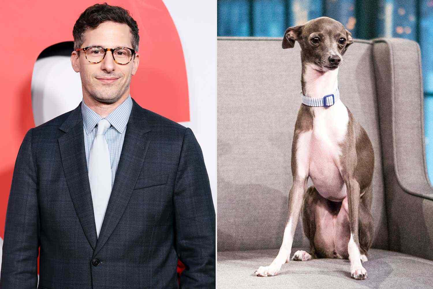 Andy Samberg desires everybody to know he did not kill Seth Meyers’ canine Frisbee