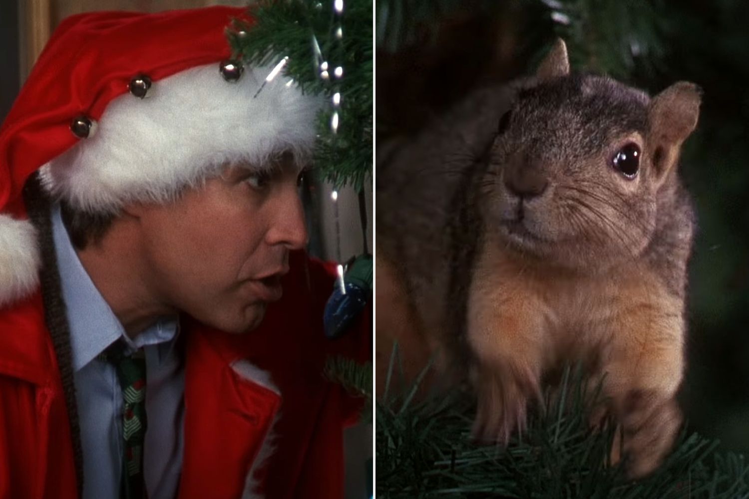 “Christmas Trip” forged remembers skilled squirrel dying earlier than iconic scene: ‘I destroyed the magic’