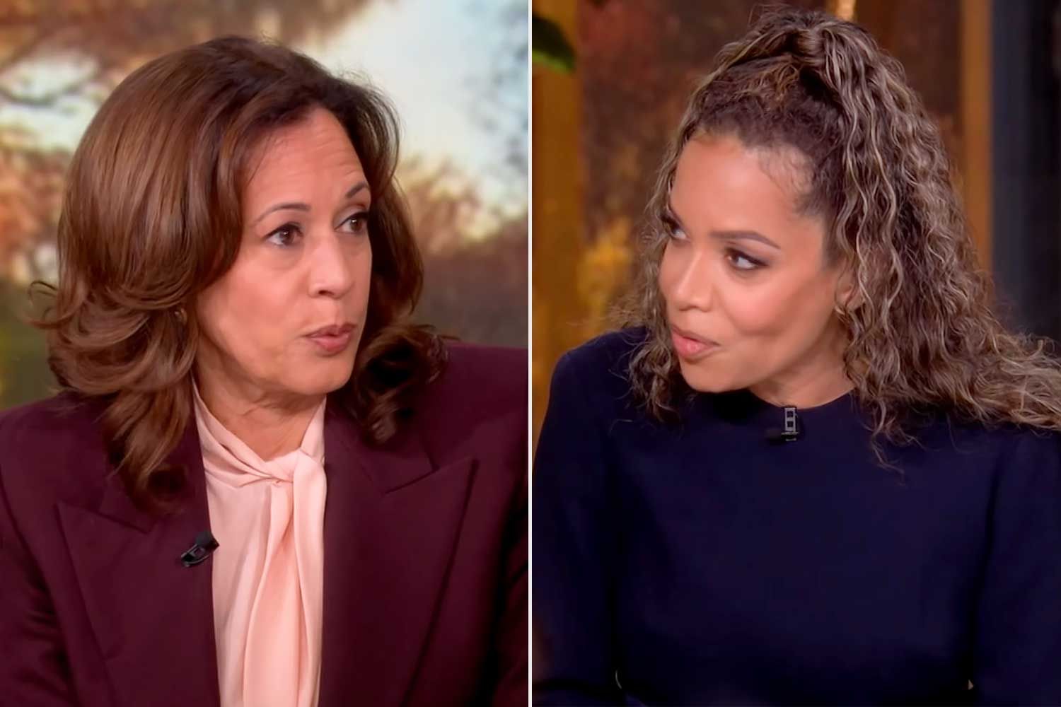 Kamala Harris reacts to ‘grenade’ “View” look that derailed marketing campaign, maintains ‘apparent’ variations from Joe Biden