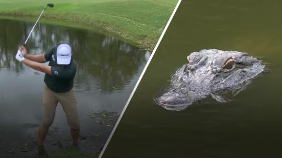 Whaley saves par out of water with gator lurking