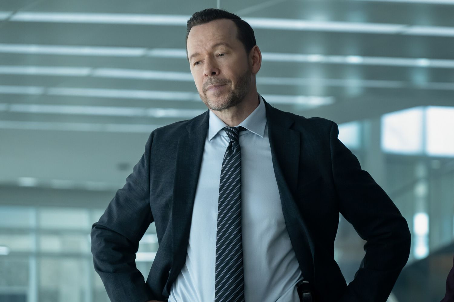 This is everybody from “Blue Bloods” who seems in Donnie Wahlberg’s spinoff “Boston Blue”