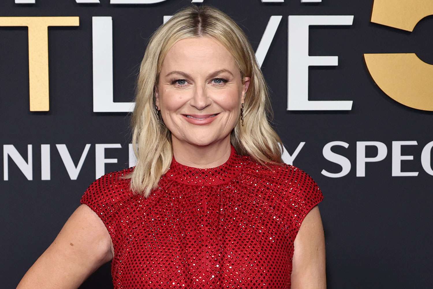 Amy Poehler ‘received in a battle’ on aircraft after being scolded for cursing in entrance of “Imply Women” costar’s child