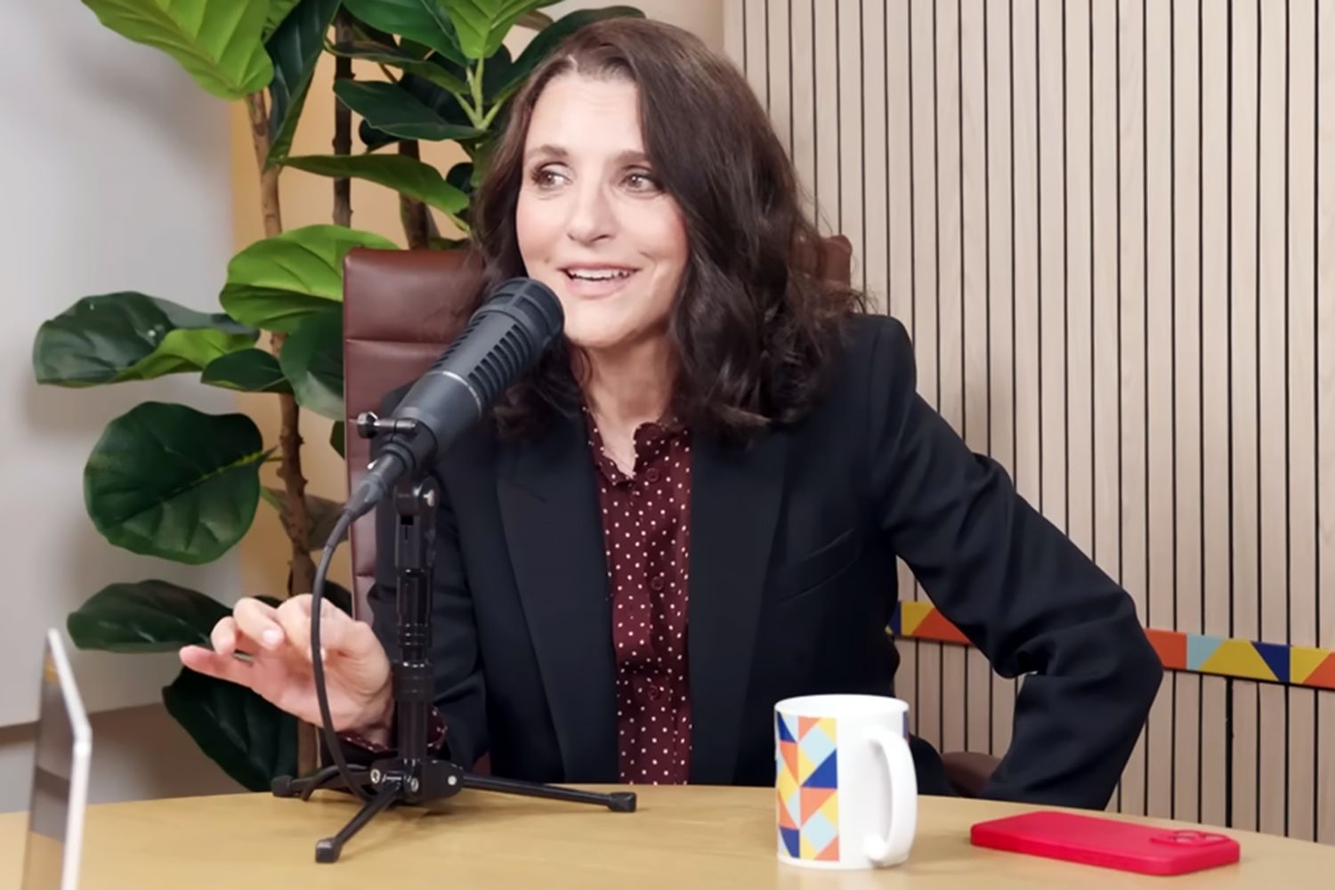 Julia Louis-Dreyfus opens up about why she went public together with her most cancers prognosis