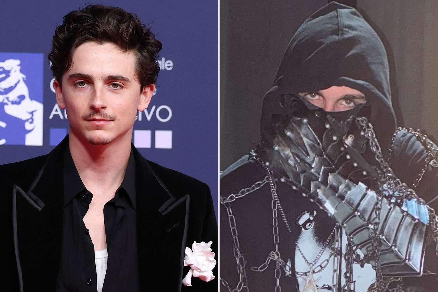 Is Timothée Chalamet rapper EsDeeKid? ‘All will probably be revealed,’ he says