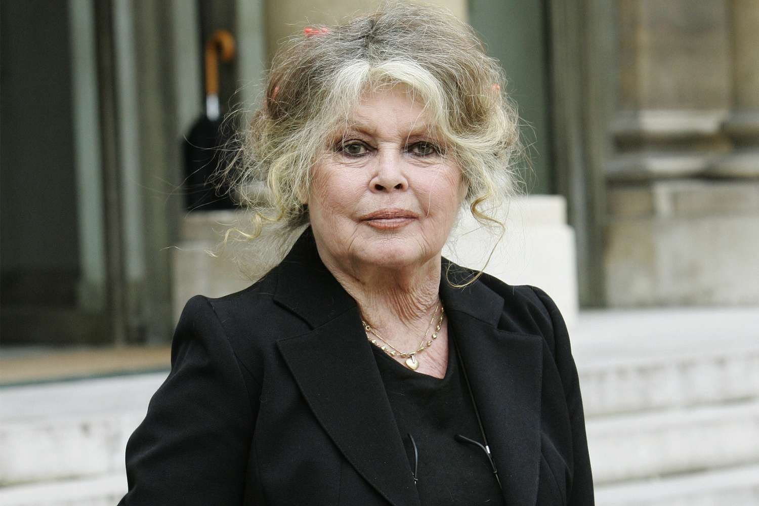 Brigitte Bardot’s reason for demise revealed per week after she died